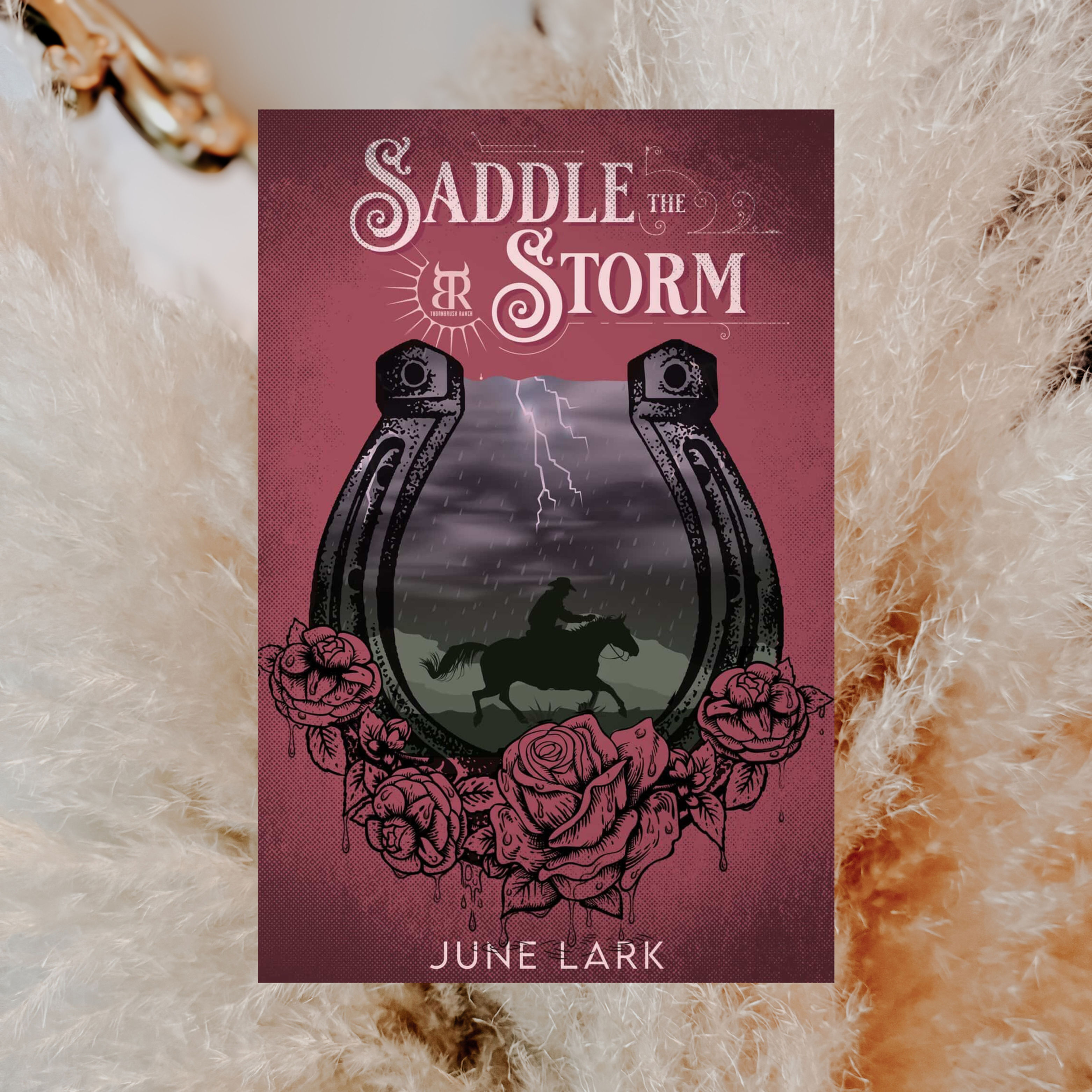 SADDLE THE STORM | JUNE LARK | SIGNED
