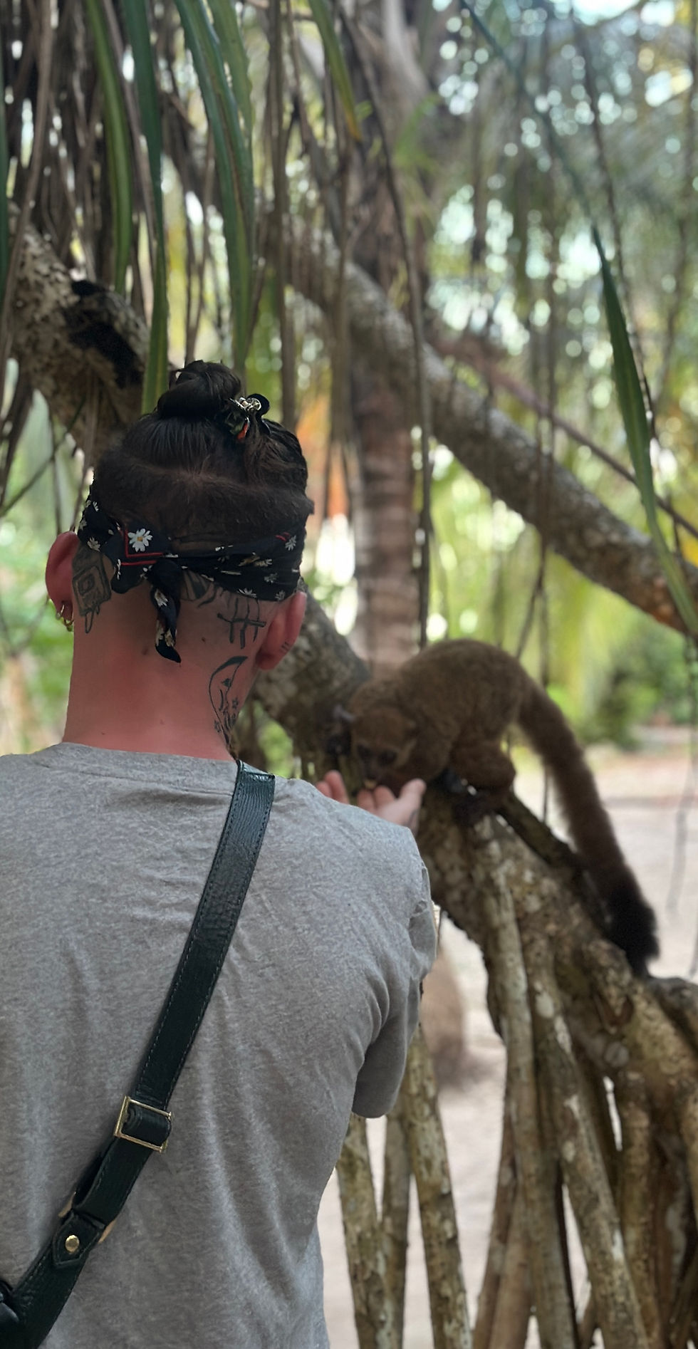 NYERE NATIONAL PARK, TANZANIE