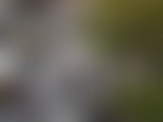 Combat Labor Shortage with Skills-Based Hiring Strategies