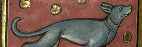 Medieval Beast illustration Dog