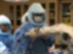 Dr. Brandon Perez
