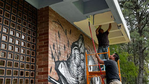 Nuevo «look» para la Resi