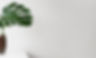 FB COVER (1)_edited.jpg