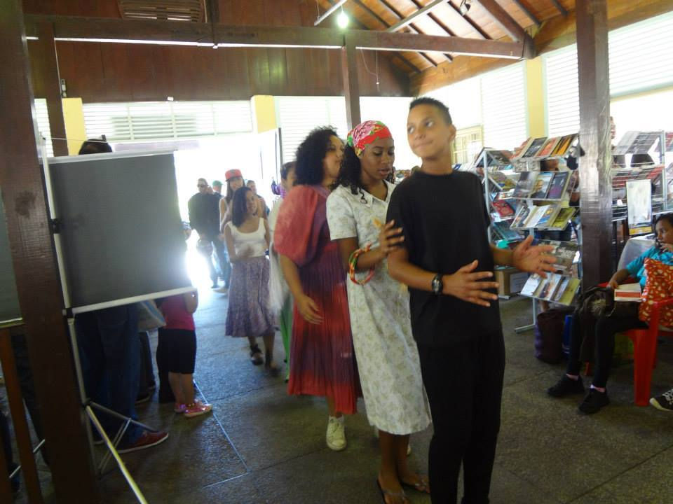 Fliparanapiacaba 2014