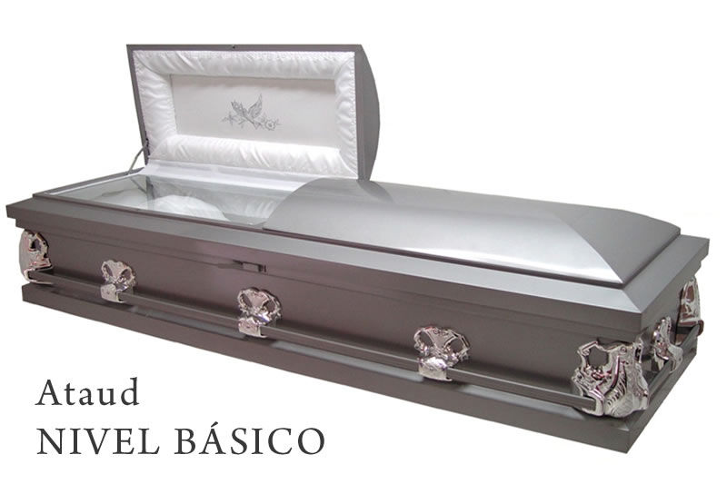 Miniatura: Plan básico