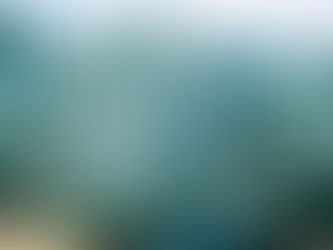 Designing a “Night Garden” in Arizona: Plants That Shine After Sunset