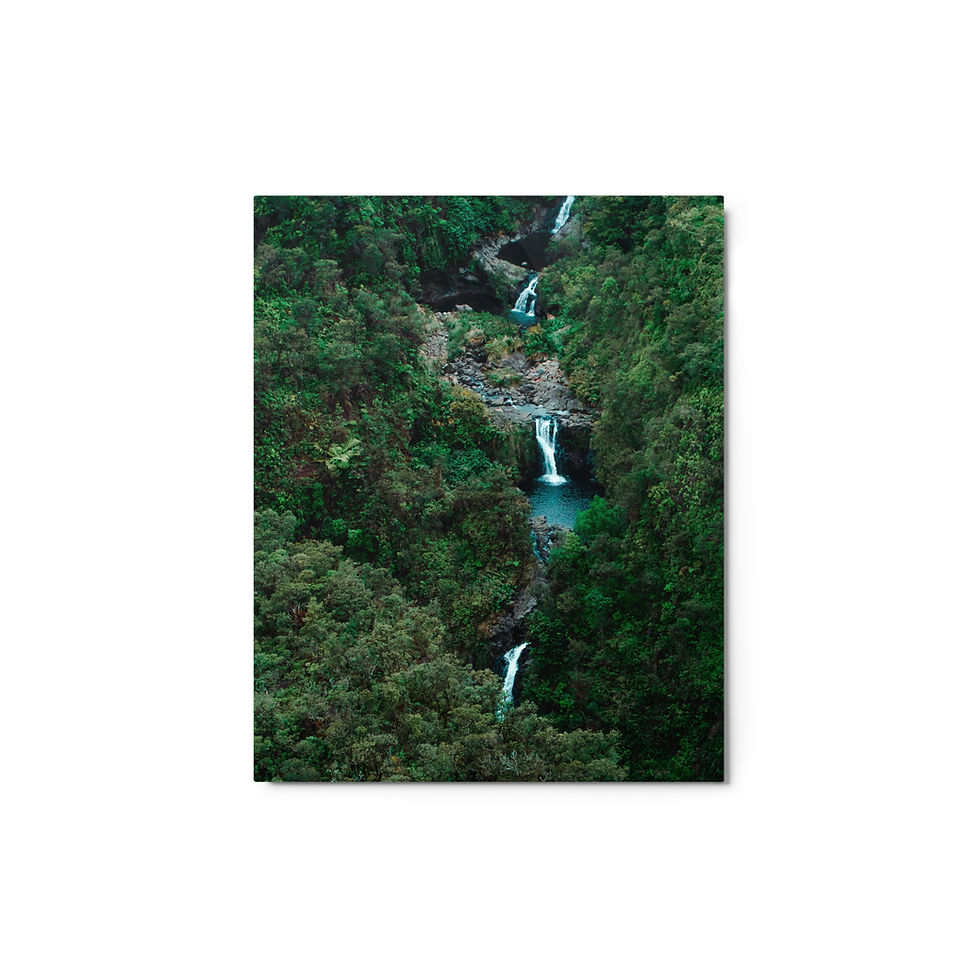 Thumbnail: Metal prints