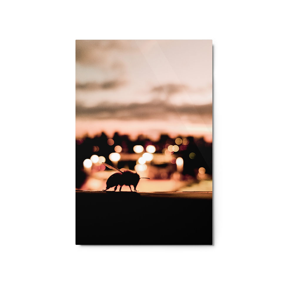 Thumbnail: Metal prints