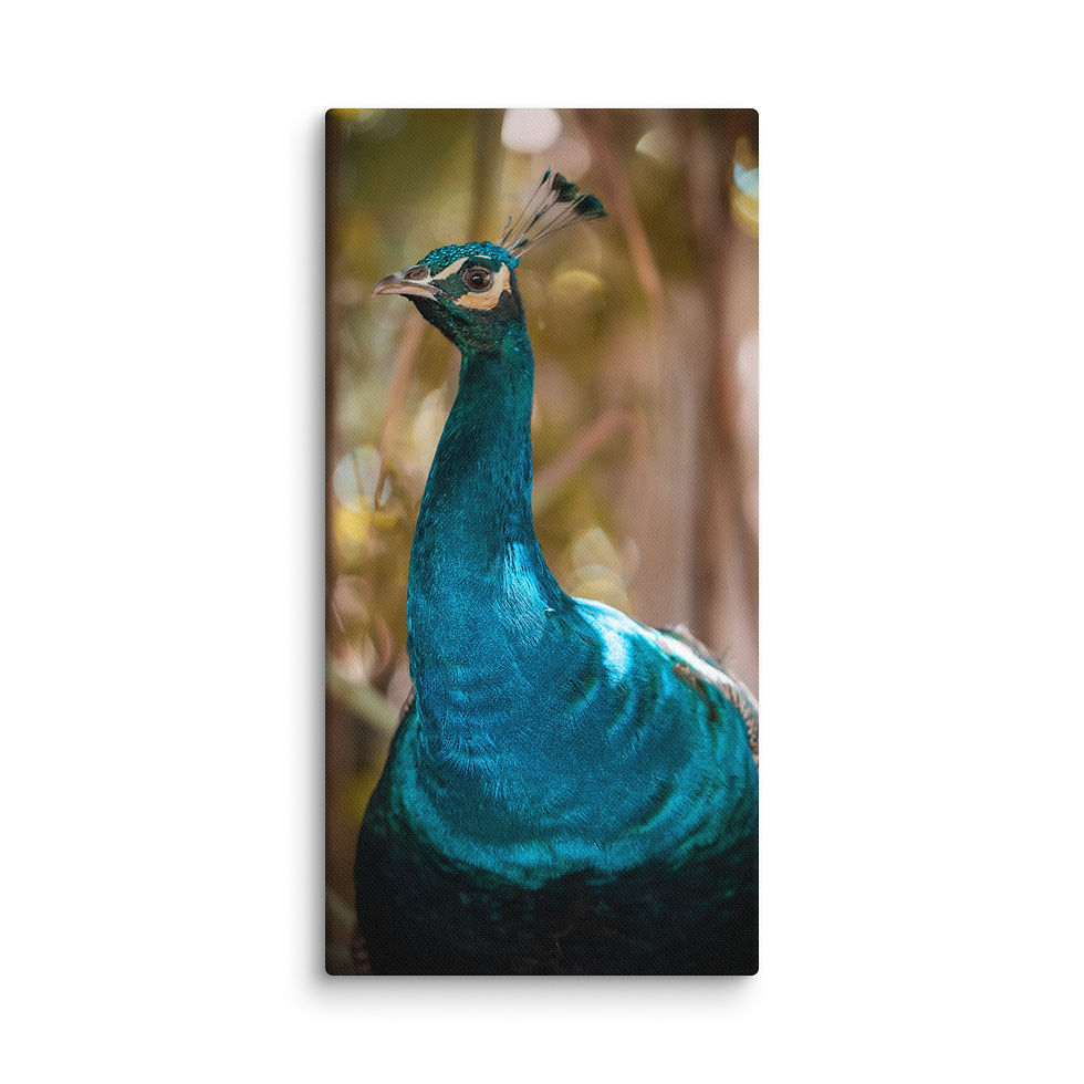 Thumbnail: Canvas