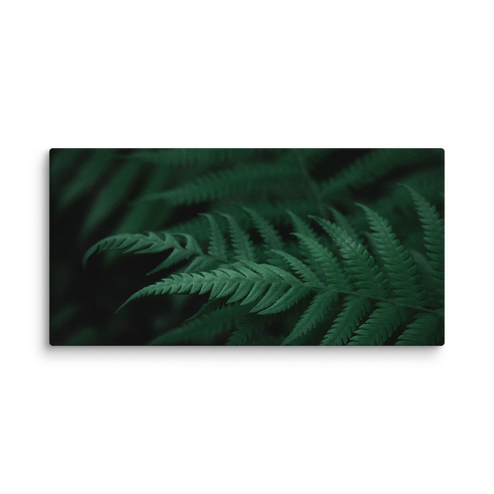 Thumbnail: Canvas