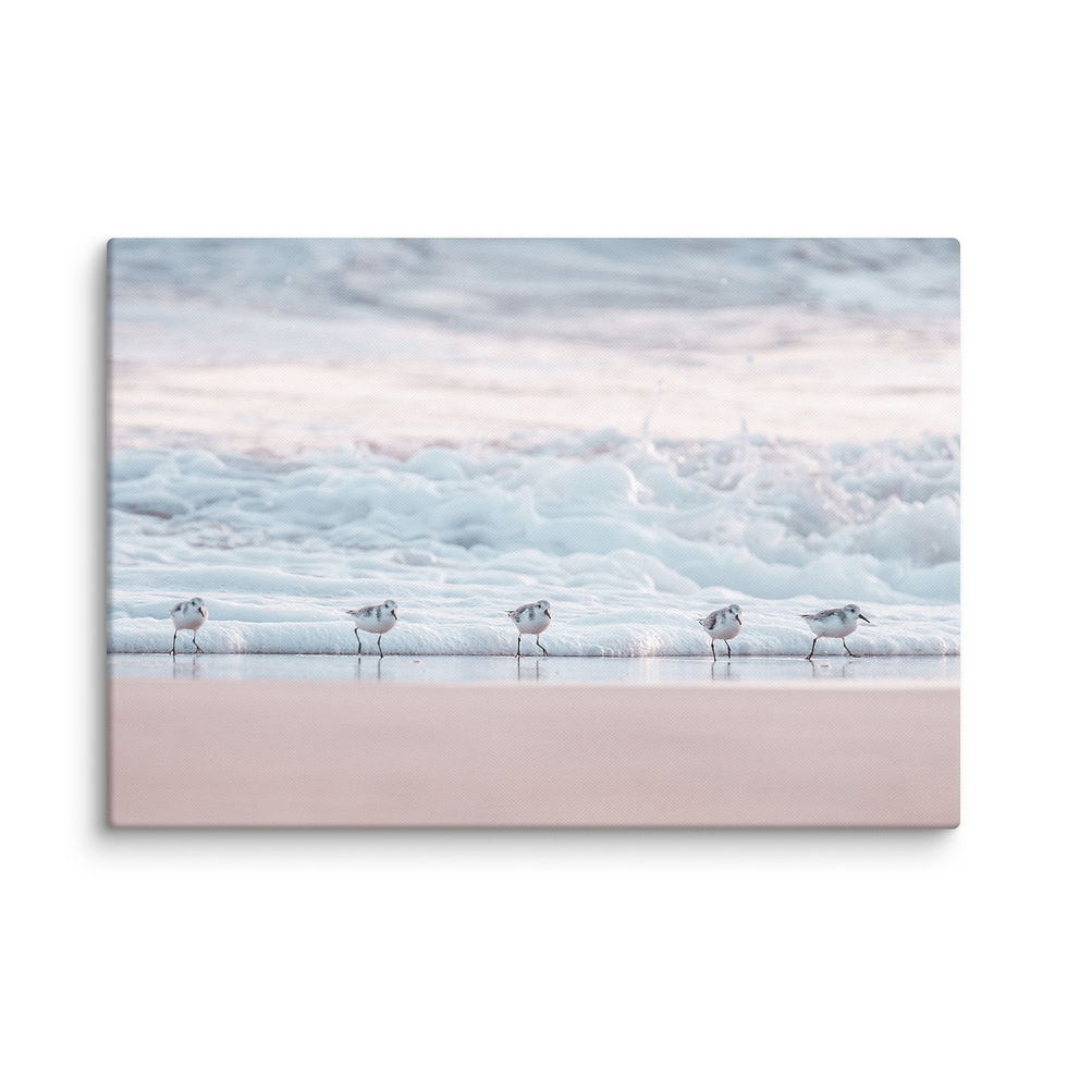 Thumbnail: Canvas