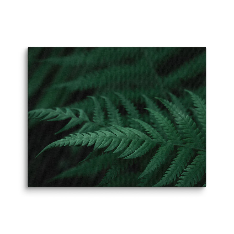 Thumbnail: Canvas