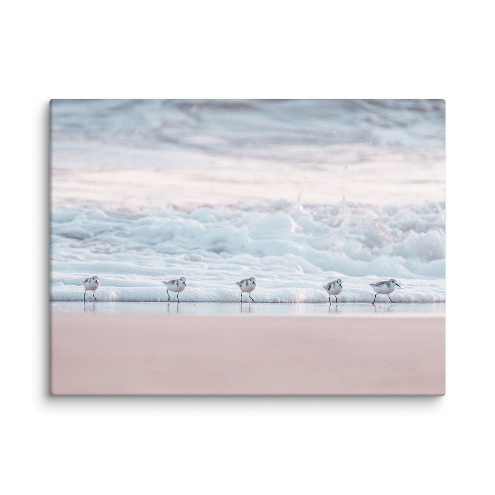 Thumbnail: Canvas