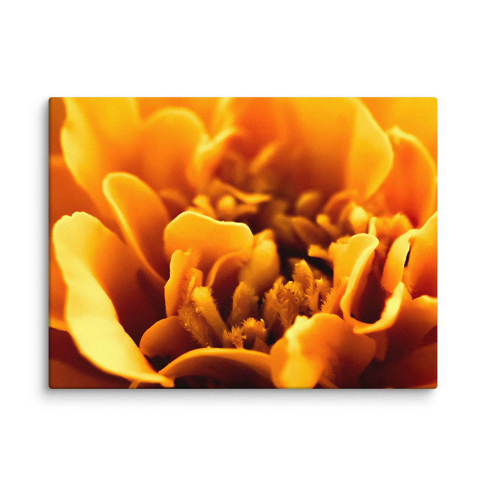 Thumbnail: Canvas