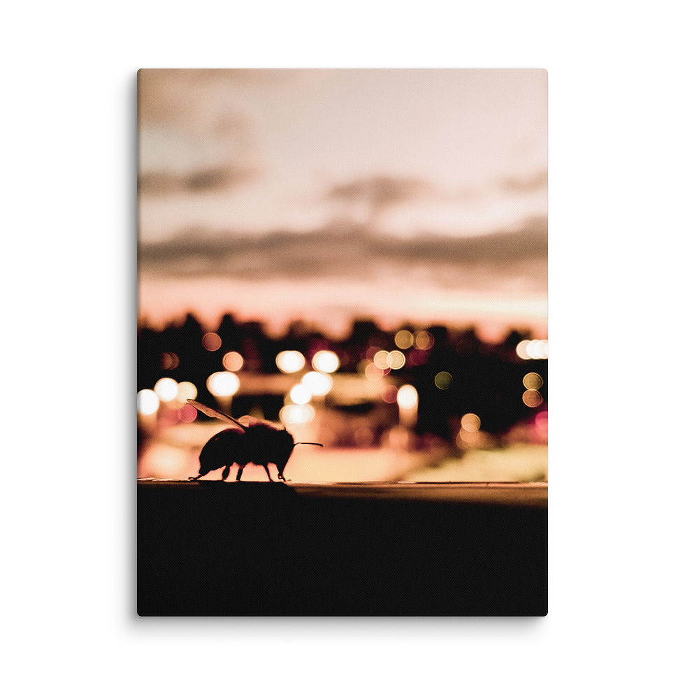 Thumbnail: Canvas