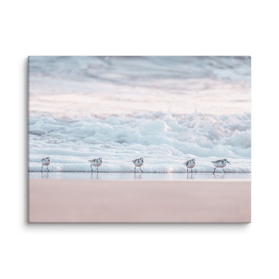 Thumbnail: Canvas