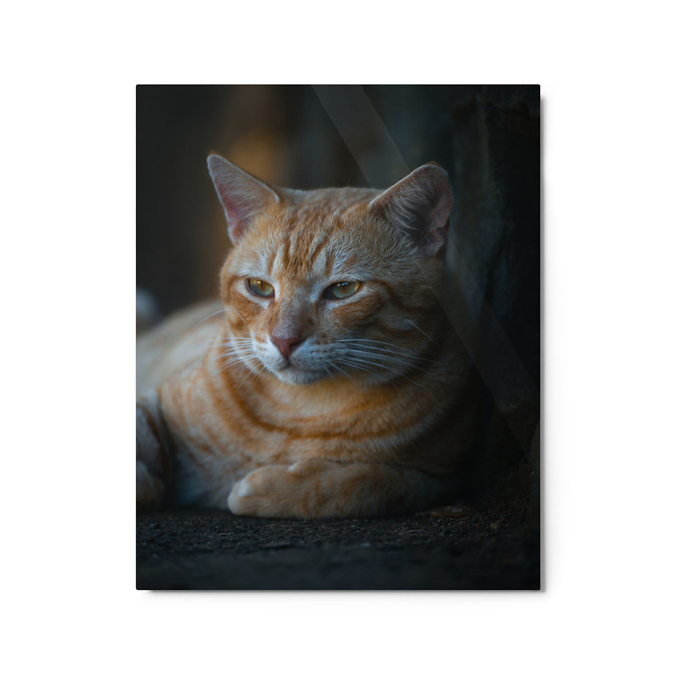 Thumbnail: Metal prints