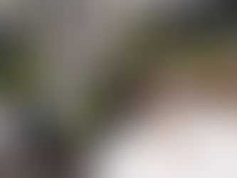 Abgeschlossene Modulprüfung für die Truppführerausbildung