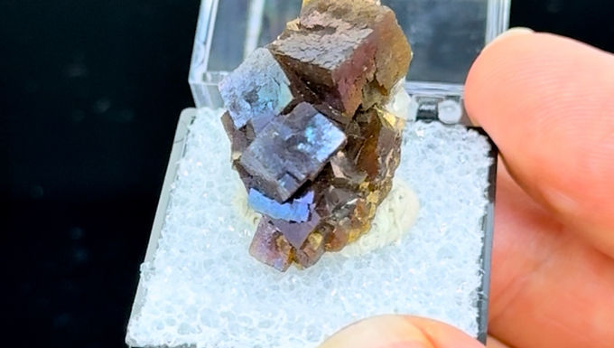 Fluorite - Charles Pfizer & Co. Quarry, Gibsonburg, Ohio