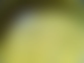 Morkozhambu (South Indian Kadhi) - Type 1