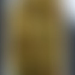 Vegetables in Spinach Gravy