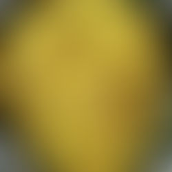 Brinjal (Vanghi) Rice