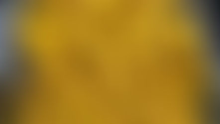 Cauliflower and Chickpea Coconut gravy