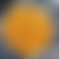 Tomato and Capsicum Rice