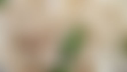 Sabudana Khichdi (Sago)