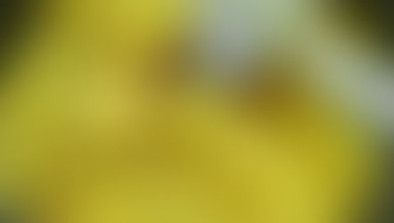 Lemon Sevai (with instant sevai)