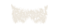 Tranatopsy