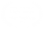 BEST LIGHTING DESIGN - Utah Dance Film Festival - 2025.png