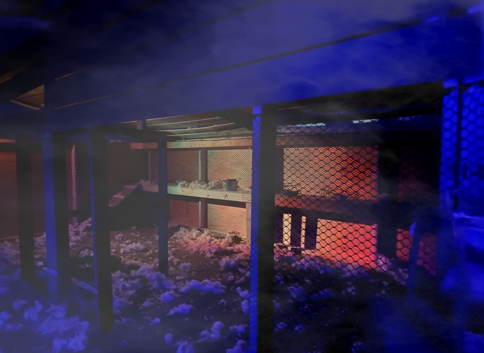 The Mist from Sinister Pointe