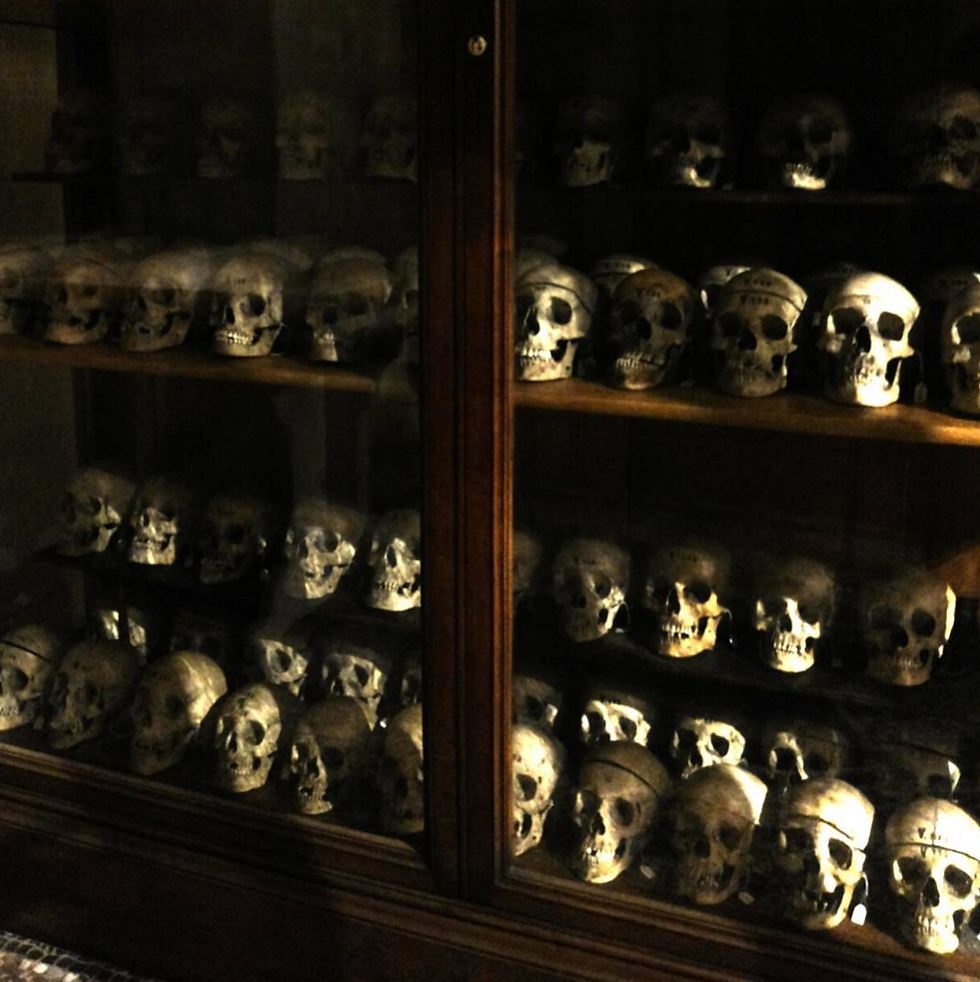 true crime artifact head