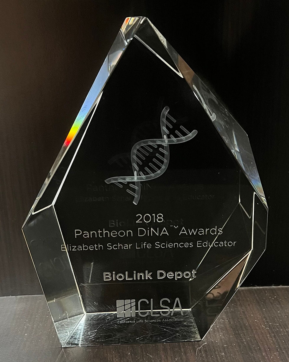 Pantheon Dina Award.jpg