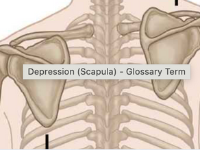 Shoulder Depression: Mechanisms and Functional Differences