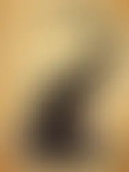アルコネ:納品のお知らせ