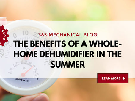 The Benefits of a Whole-Home Dehumidifier in the Summer