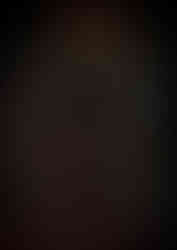 New year festive package menu