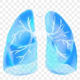ree