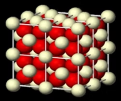 ree