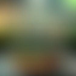 Pesticides and Cancer: The Hidden Risk