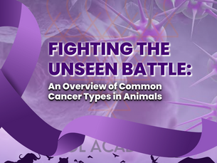 FIGHTING THE UNSEEN BATTLE: An Overview of Common Cancer Types in Animals