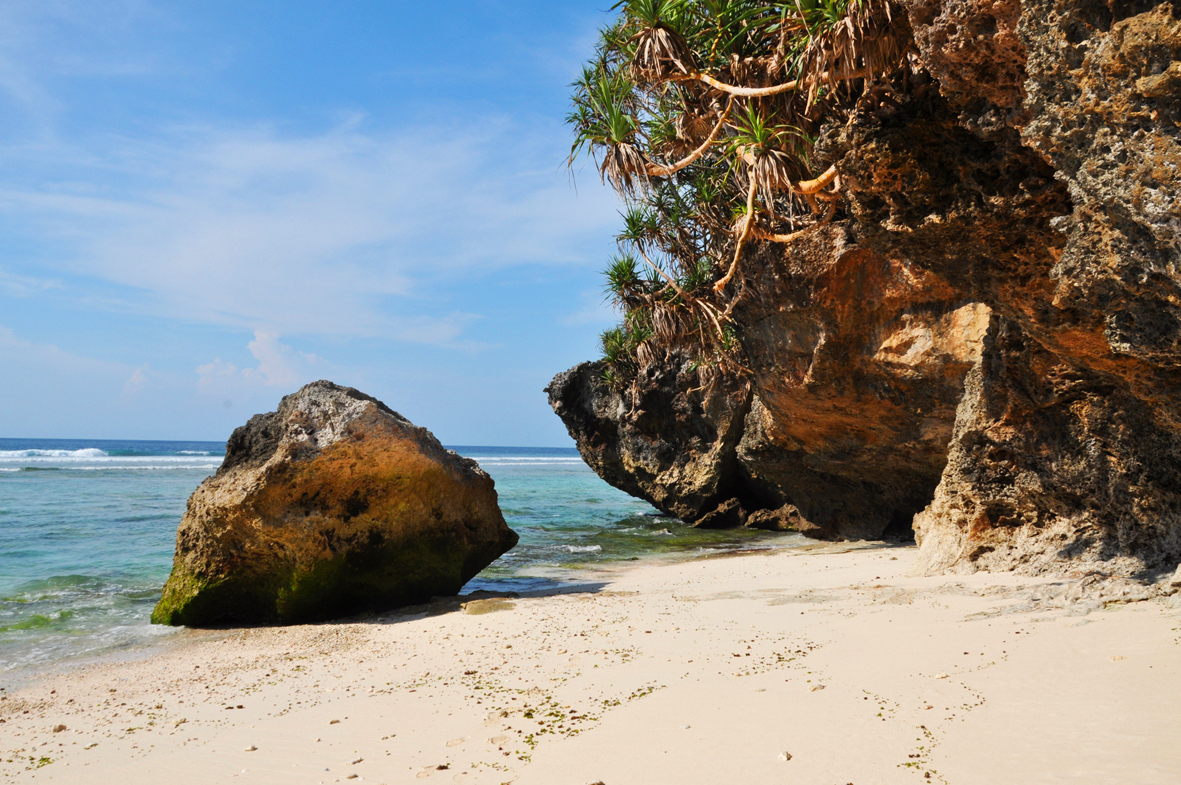 sumbadream sale land in sumba