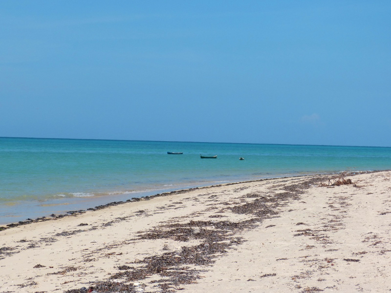 sumbadream sale land in sumba