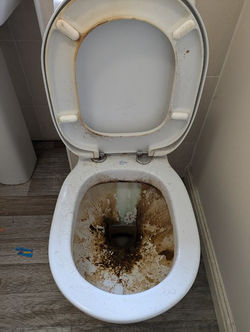 PXL_20240918_083313434