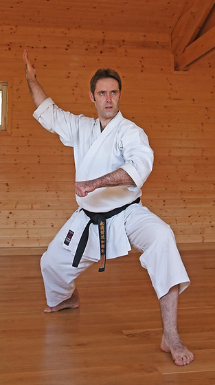 2019.07.10 (150)mod10.jpg