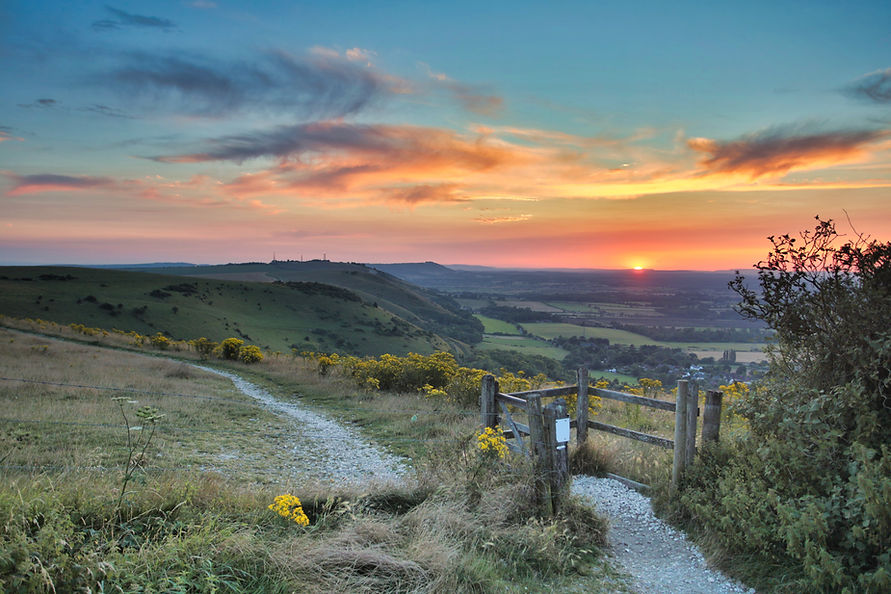 Endless Horizon Phot - Path - Home.jpeg