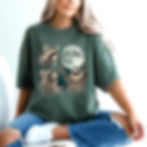 Thumbnail: Three Raccoons Tee