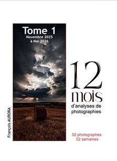 12 mois d'analyse.jpg